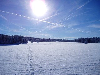 Balade  ski sur les plateaux du Jura Vaudois