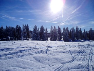 Balade  ski sur les plateaux du Jura Vaudois