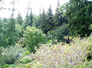 Jardin botanique au mois d'aot  Berne