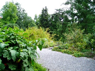 Jardin botanique au mois d'aot  Berne